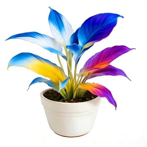 Hosta Seeds for Planting, 310+pcs Rare Perennial Hosta Flower Seeds Plants,