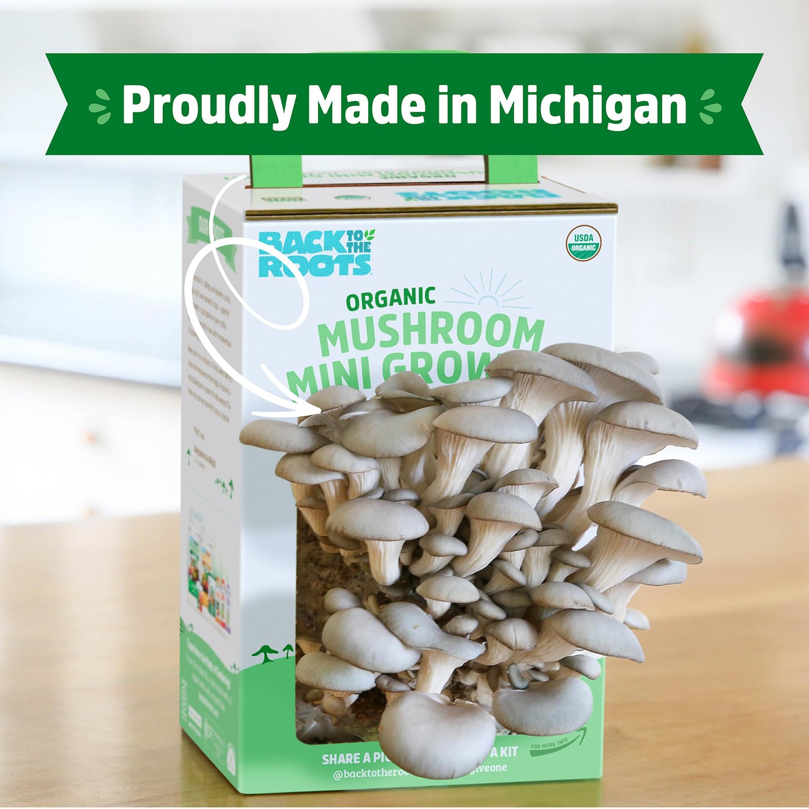 Back to the Roots Organic Mini Mushroom Grow Kit Harvest Gourmet Oyster