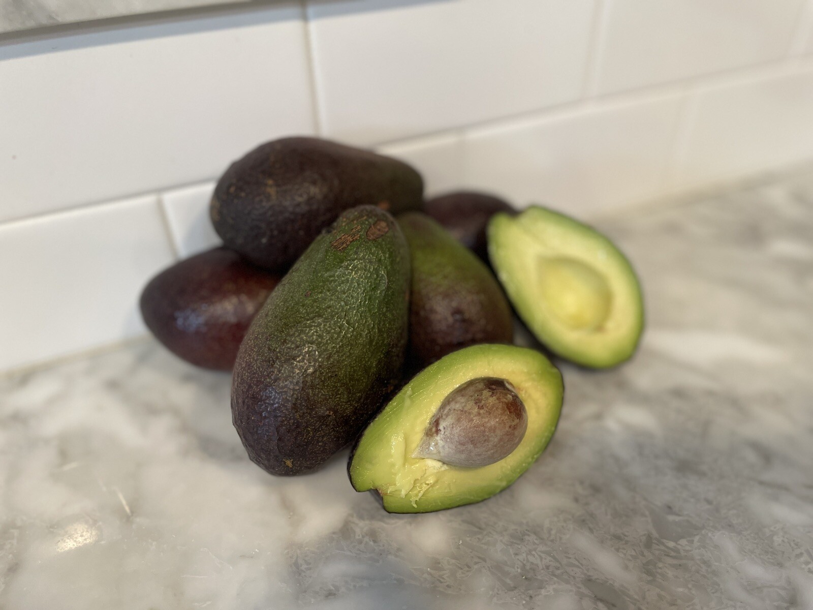 HASS AVOCADO SCION CUTTING FOR GRAFTING. (4 Pieces)
