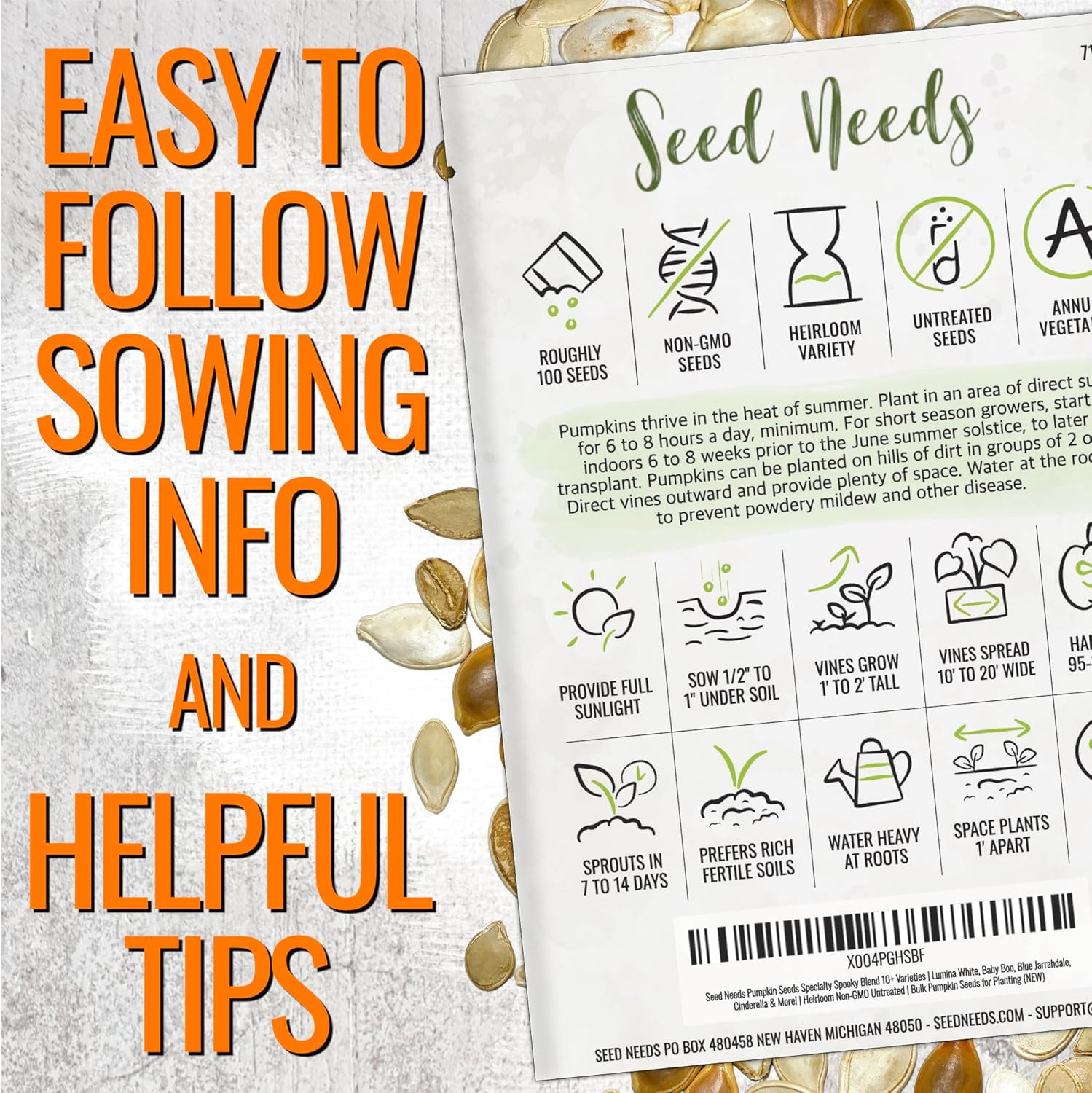 Seed Needs Pumpkin Seeds to Plant Specialty Spooky Blend | 10+ Premium Varieties