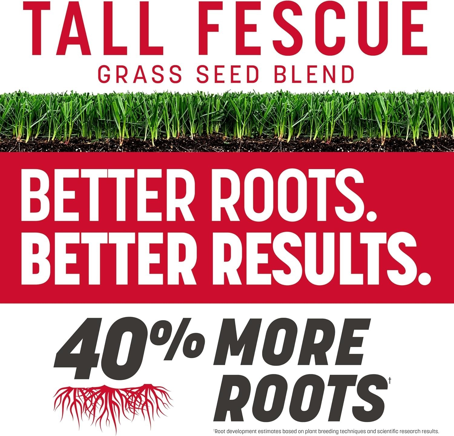 Tall Fescue Grass Seed 40lb – Dense Roots, Drought/Heat Tolerant, 4-6 Hrs Sun