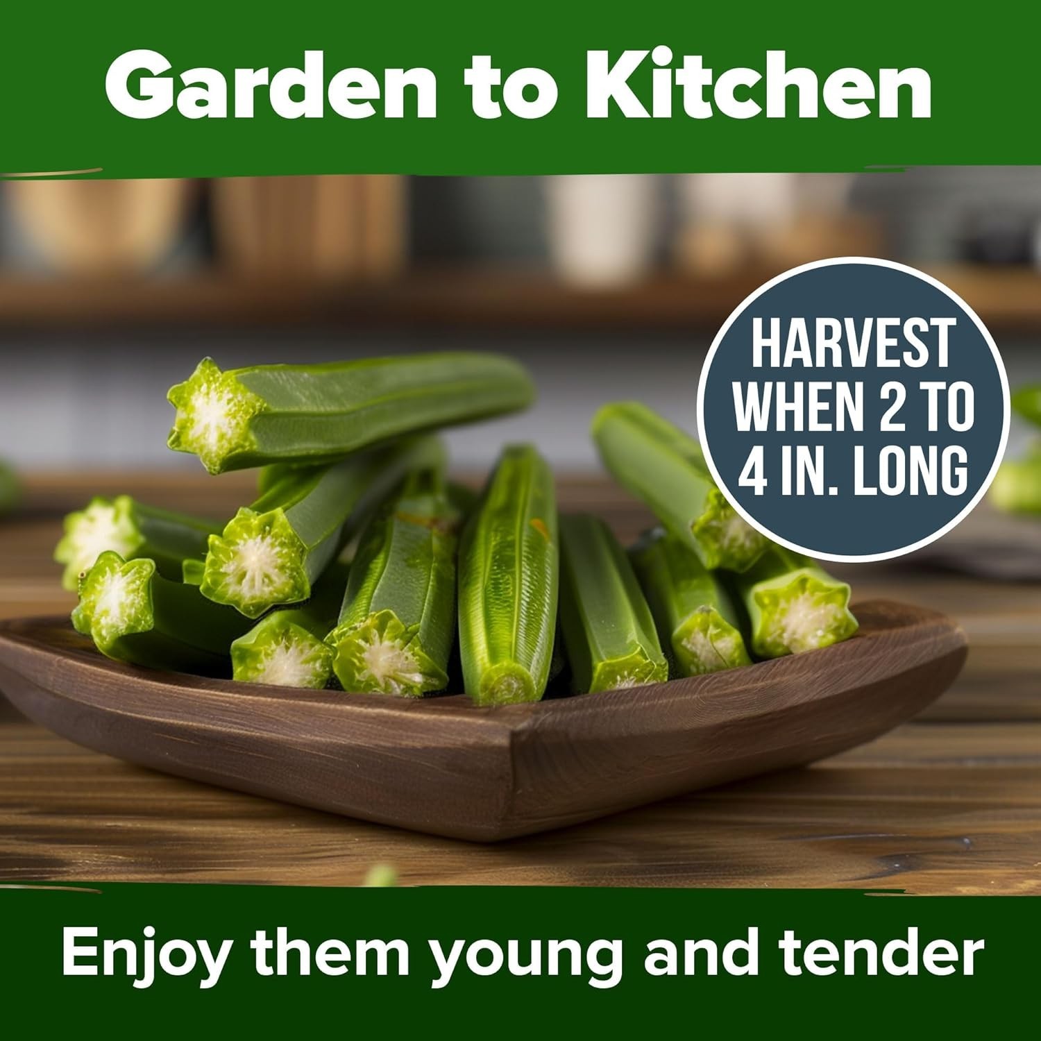 Heirloom Okra Seeds 101+ with High Germination Rate – Perfect for Garden Lovers
