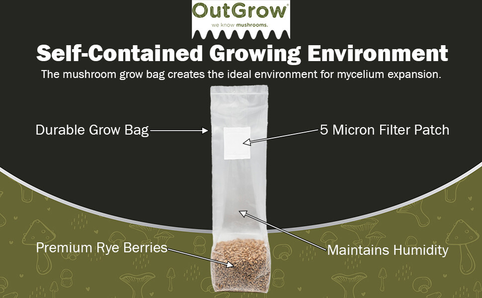 Sterilized Rye Berry Mushroom Substrate (6 pack)