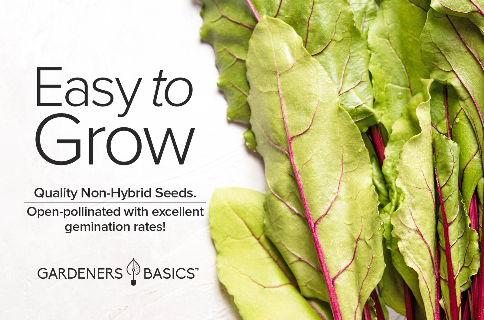 Fordhook Giant Swiss Chard Seeds