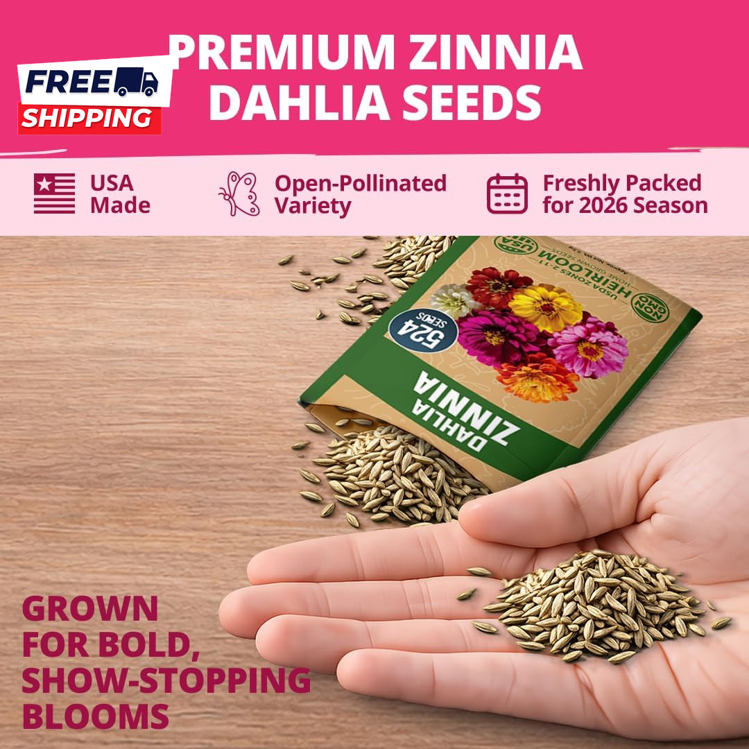 Zinnia Dahlia Seeds Pack for 2026 Non GMO 524 Flower Seeds Vibrant Zinnia Elegan