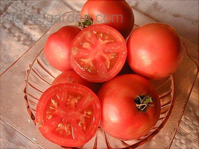 Arkansas Traveler tomato seeds non-gmo heirloom open pollinated