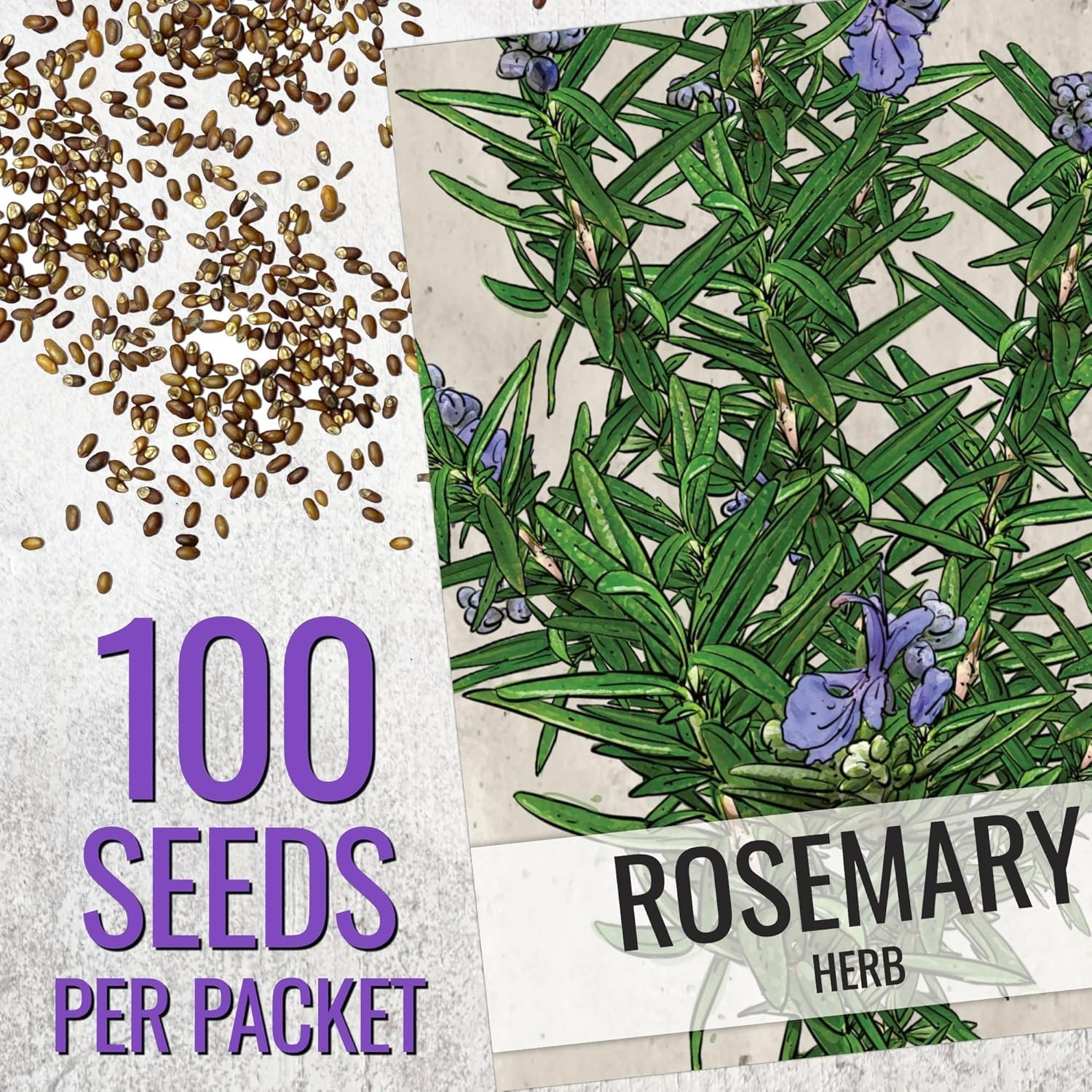 Rosemary Seeds to Plant Heirloom Non-GMO Culinary Herbs 1 Pack
