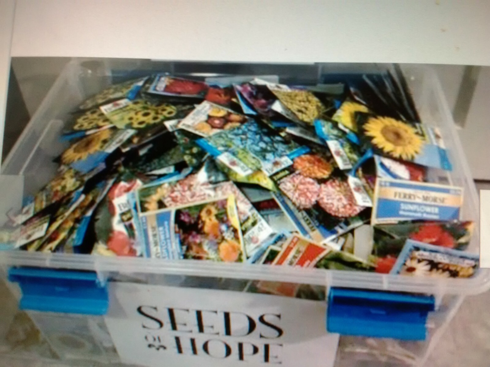 * 20 SEED PACKETS * YOU CHOOSE FROM *FLOWER, HERB OR VEGETABLE SEEDS*