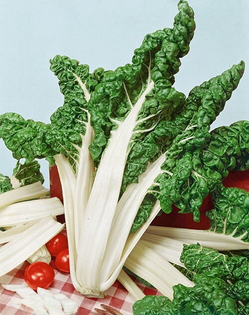 Fordhook Giant Swiss Chard 35 – 125 Seeds Heat Tolerant Salad Greens Heirloom