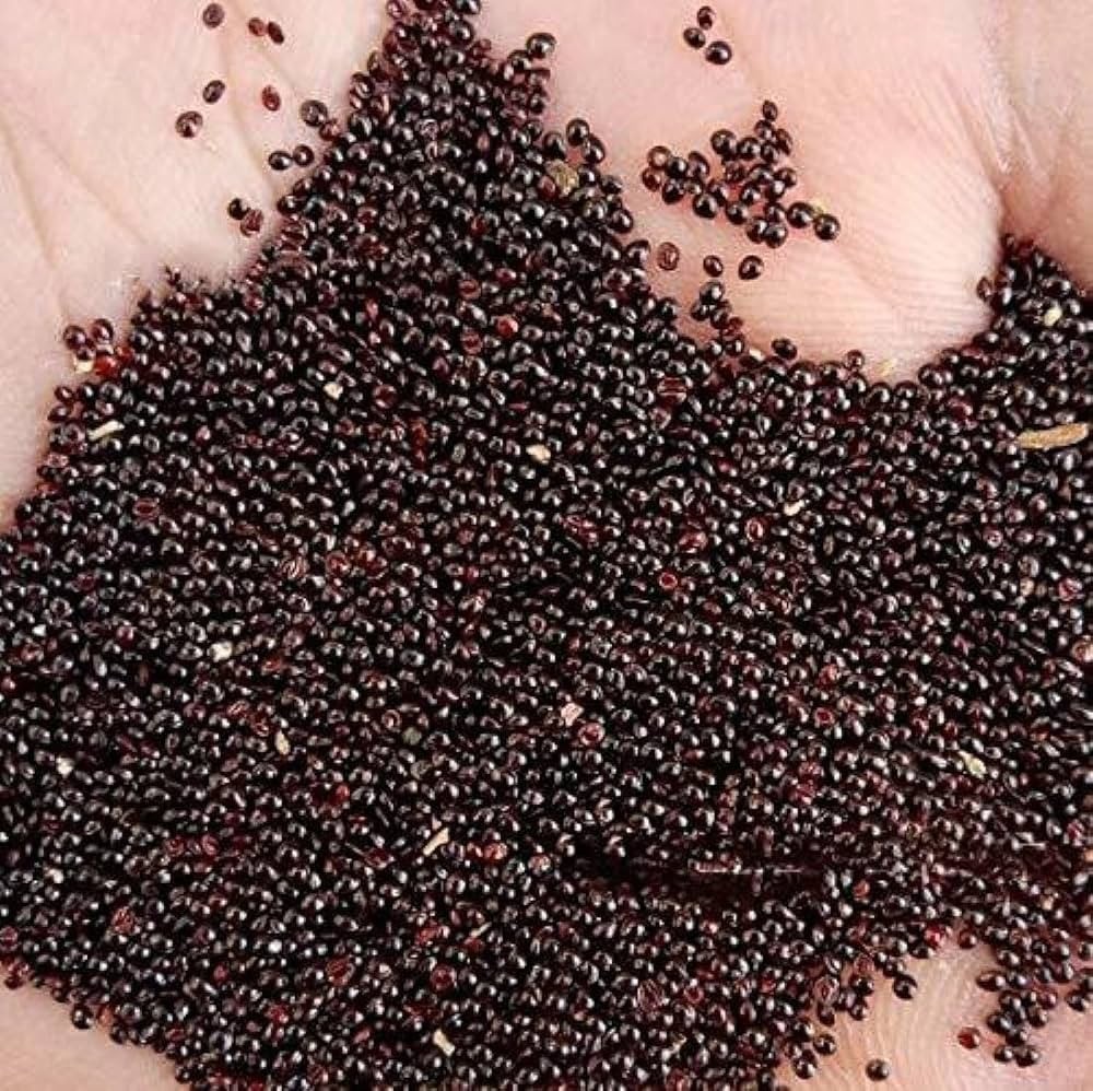Red Amaranth (Lal Shak) 10,000 Seeds for Planting ( 10 Grams ) লাল শাক