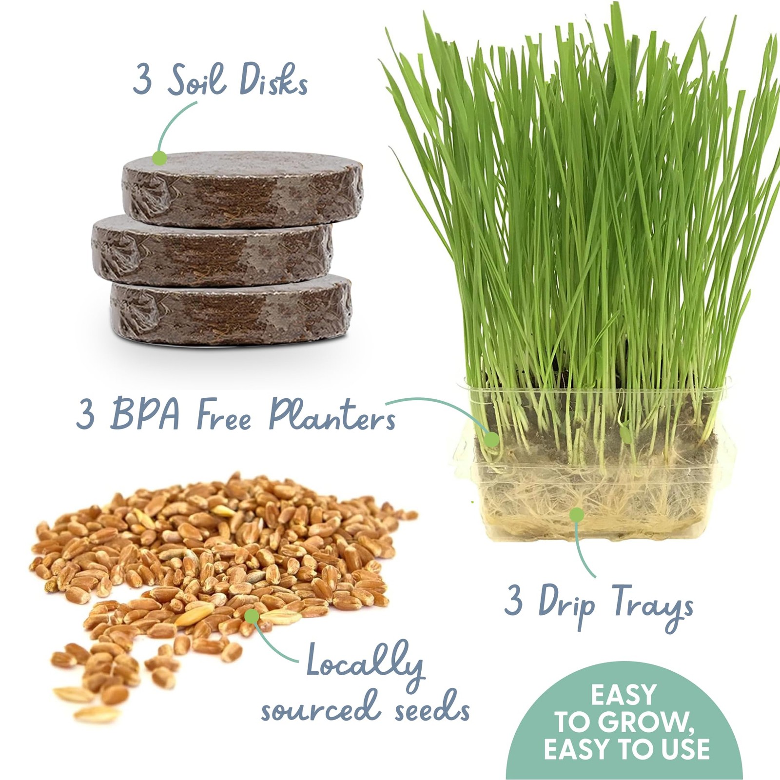 Cat Grass for Indoor Cats – Growing Kit – Organic Cat Grass Seeds, Soil and B…
