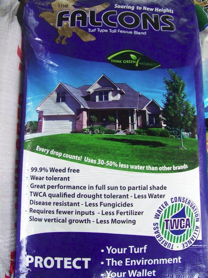 1 lb Falcons Tall Turf Fescue-A Three Falcon Blend Best Lawn Grass There Is