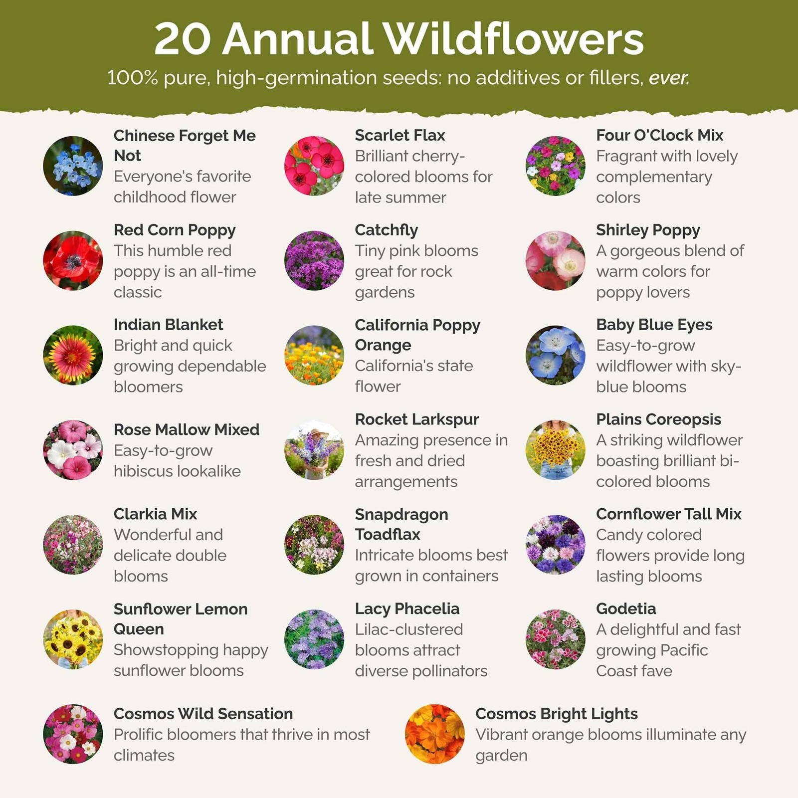 “Mixed Wildflower Seeds for Planting Attract Pollinators, 1 lb, 480,000+