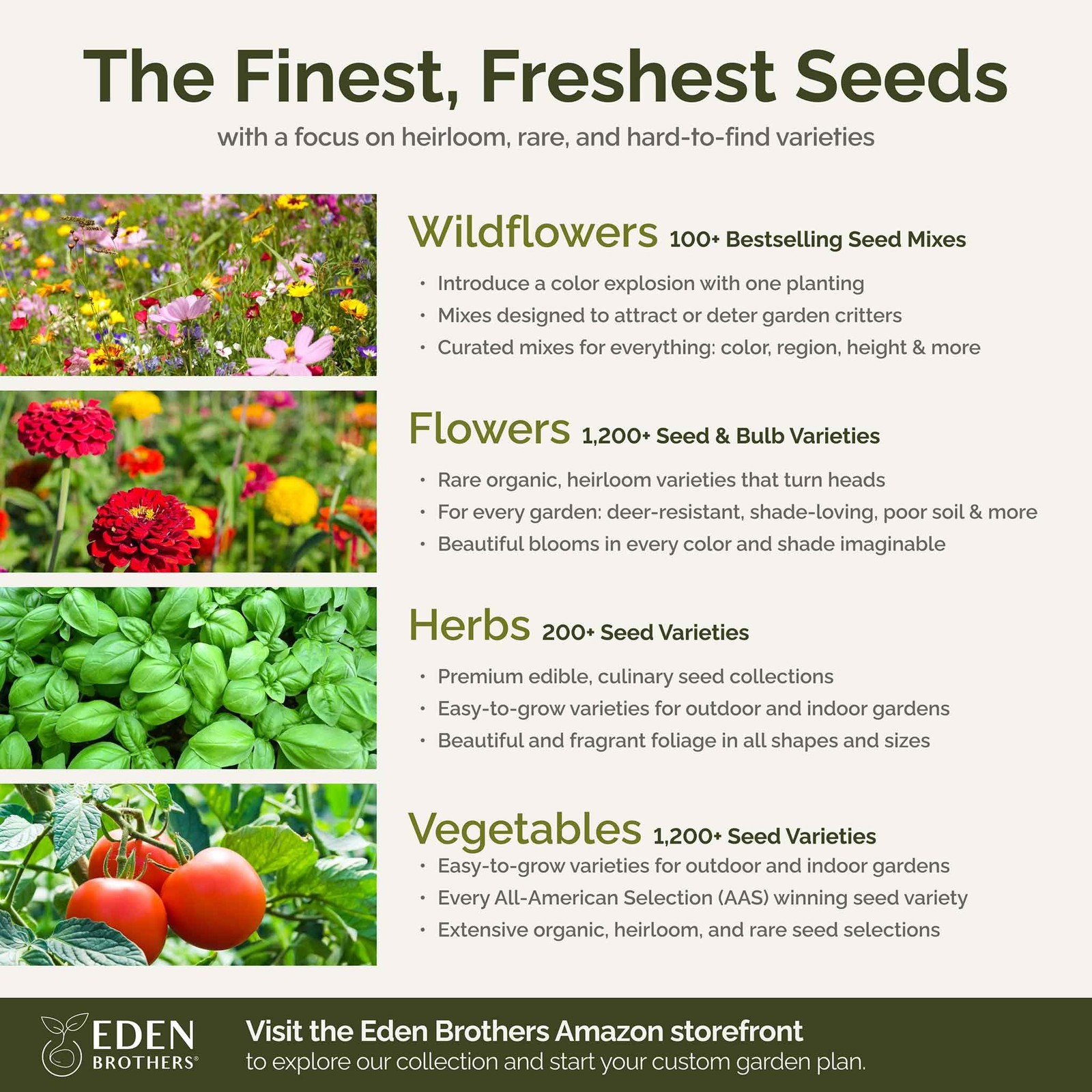 Partial Shade Wildflower Mixed Seeds for Planting, 1/4 lb, 120,000+ Seeds wit…