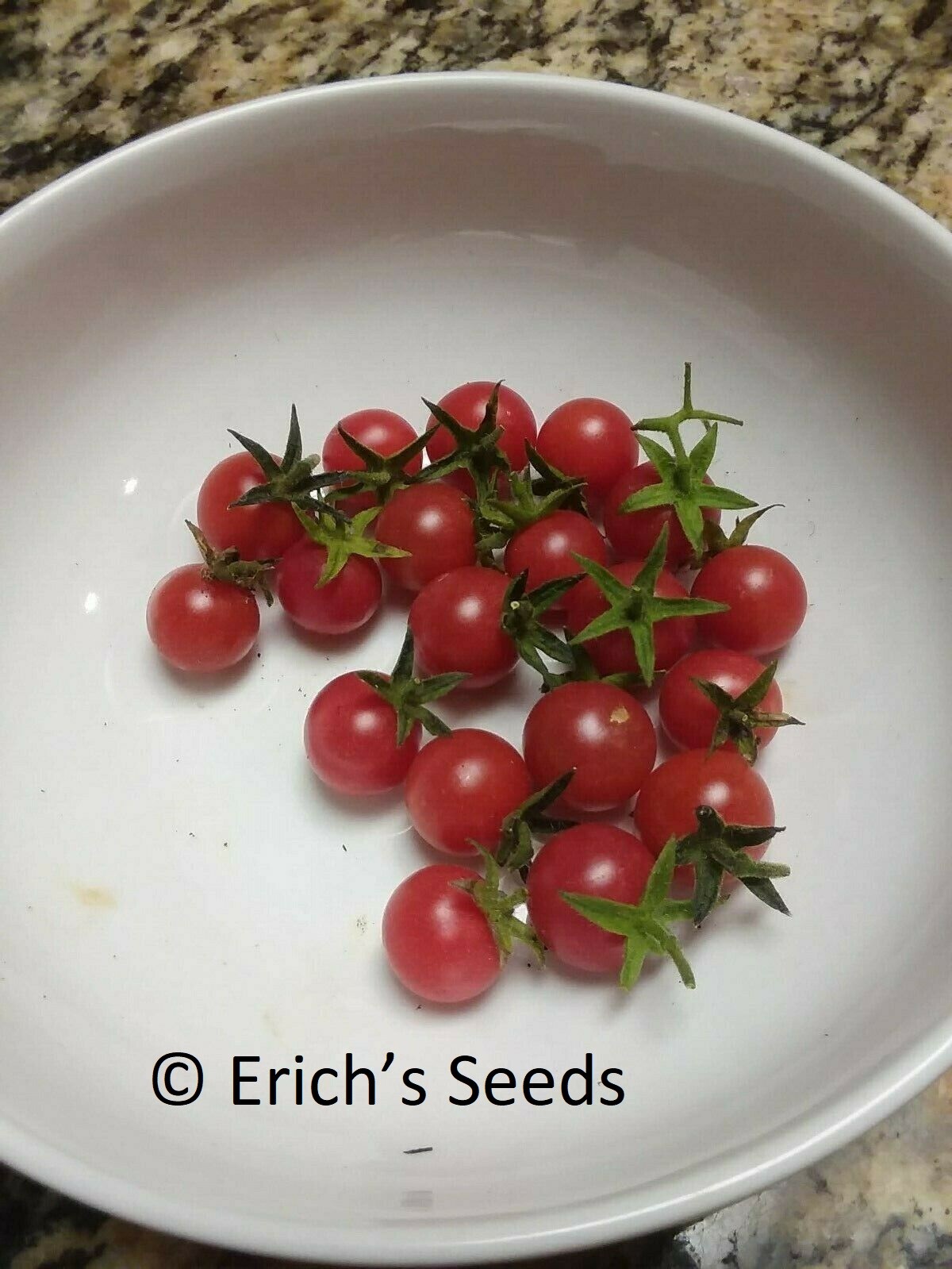 60+ Florida Everglades Tomato Seeds Fresh Seeds for planting in 2024