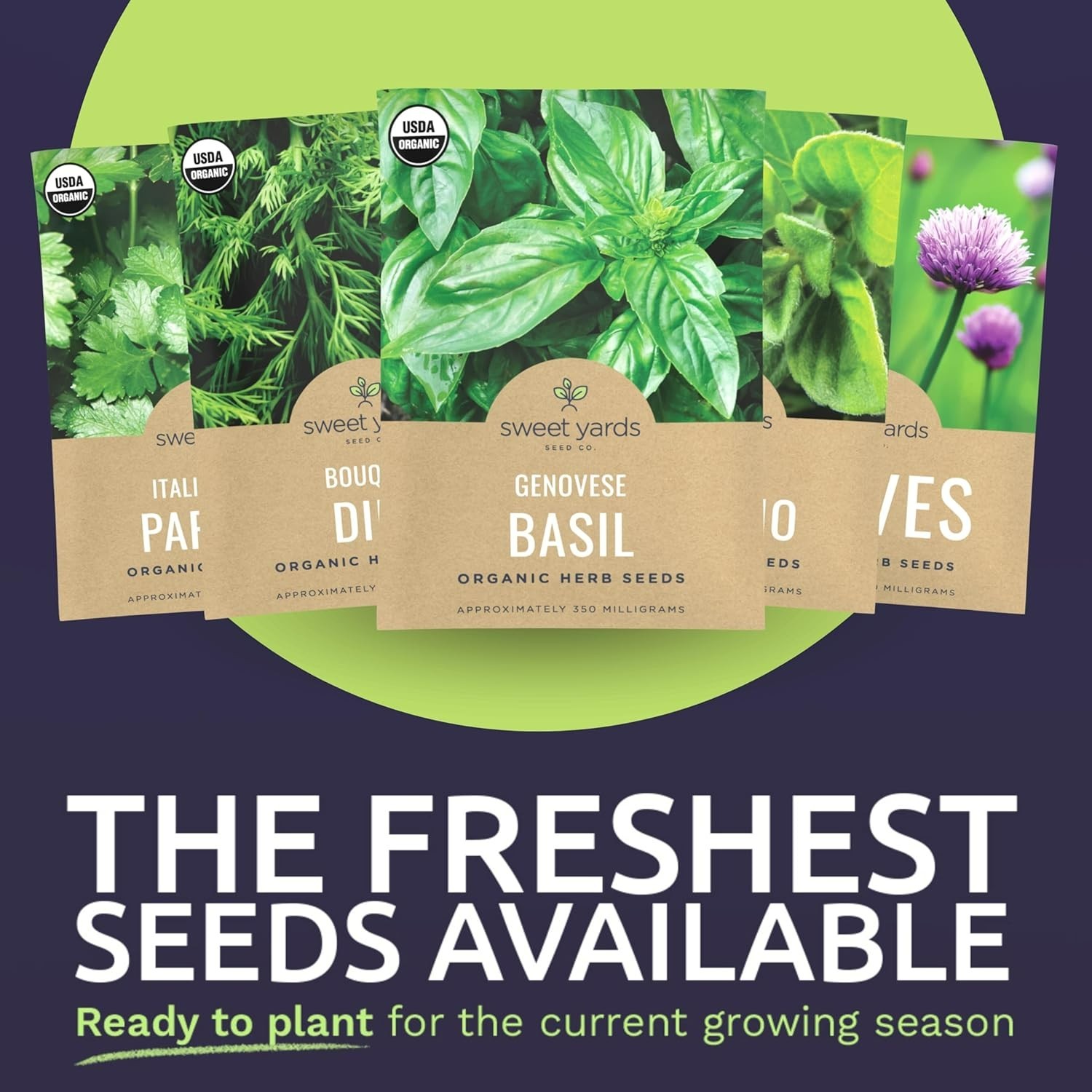 Culinary Herb Seeds Variety Pack – 10 Organic Herbs with High Germination Rates