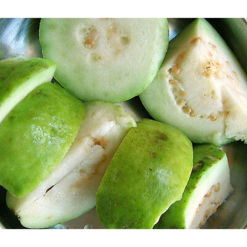 15 Seeds Guava White Tropical Fruit Psidium Guajava Tree Edible Guayaba Plant #E