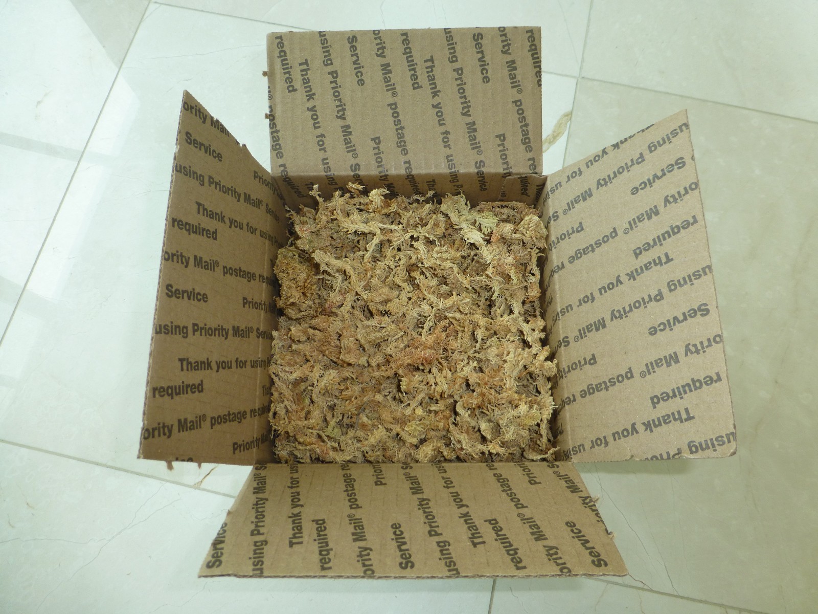 Premium New Zealand Sphagnum Moss AAA Grade for Plants Orchids Reptiles