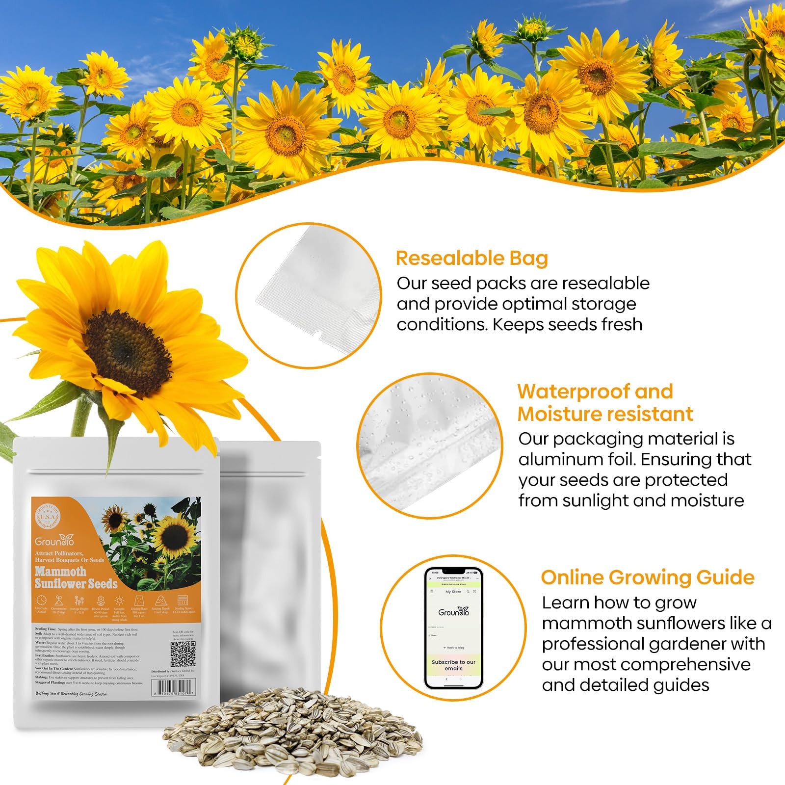 Groundio Mammoth Sunflower Seeds to Plant, 1 300+ Seeds, Orange