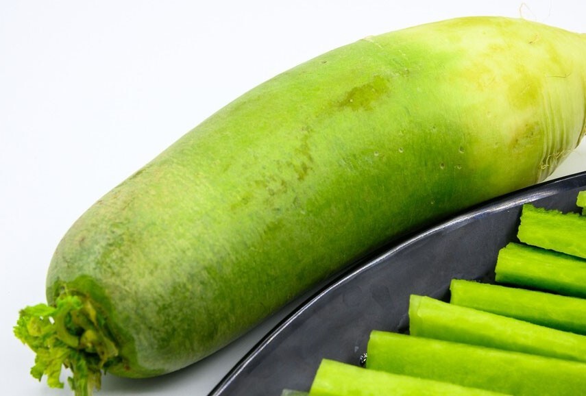 Non-GMO Asian Vegetable Radish Green Fruity Seeds 青岛翘头青萝卜 200+ Seeds