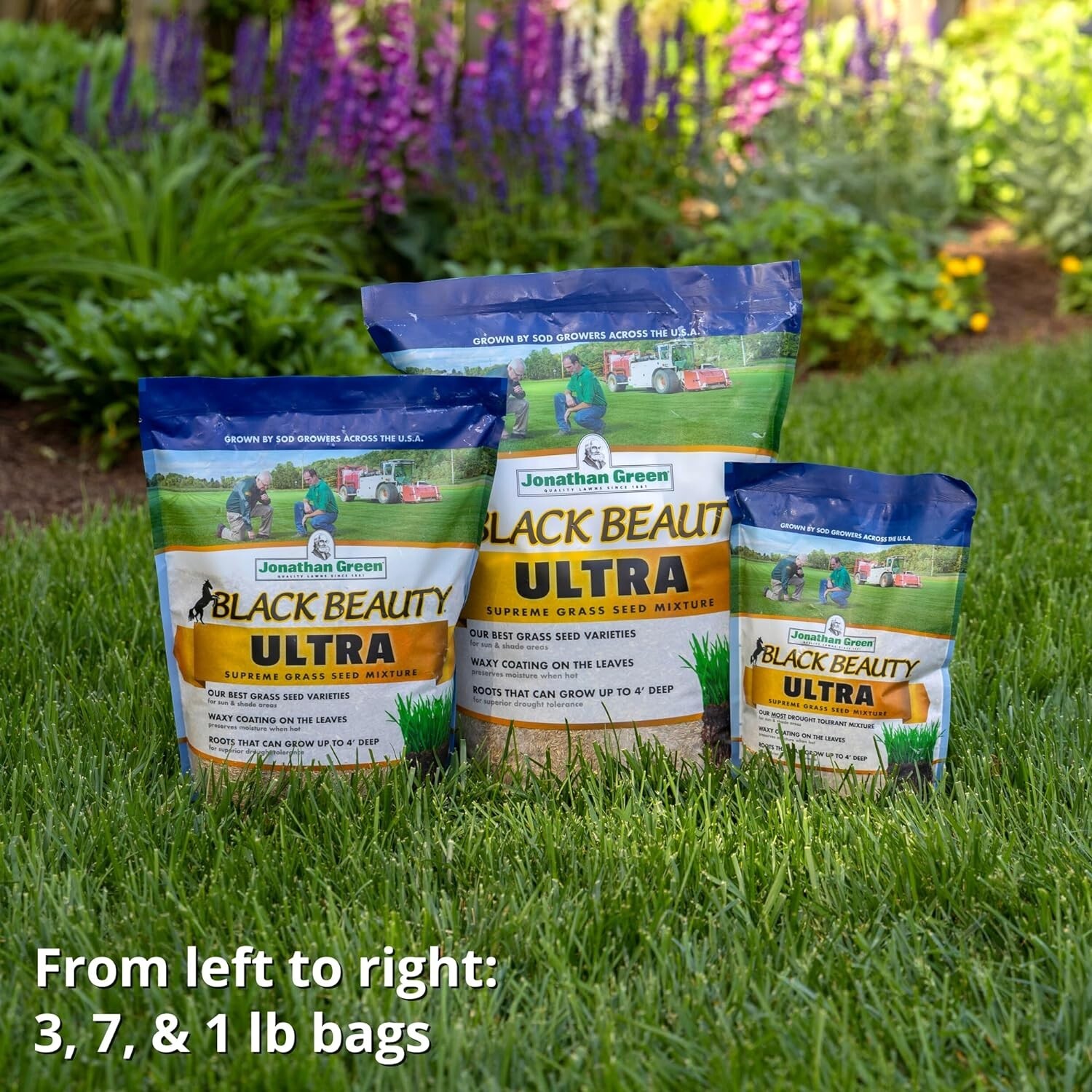 Lush Lawn with Black Beauty Ultra Grass Seed – Full Sun to Partial Shade – 7 lb