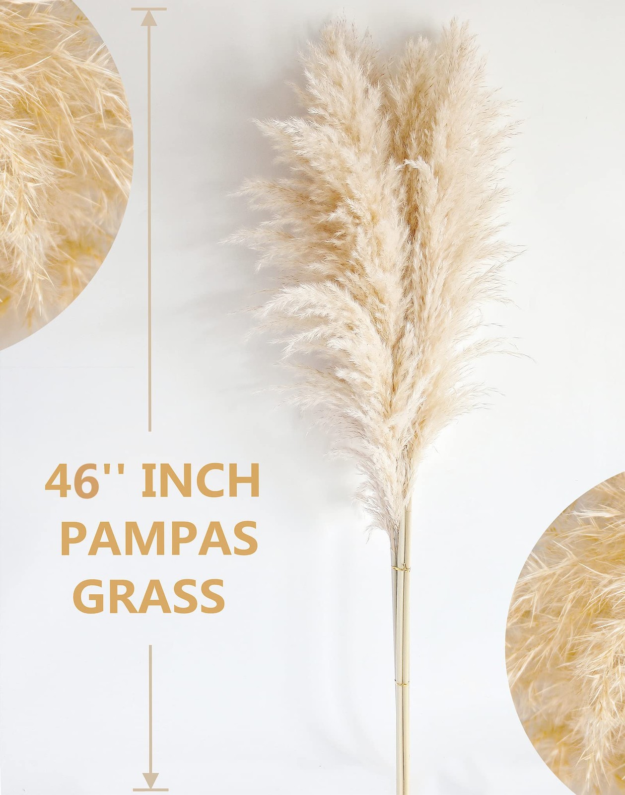 40″ inch 10 Stems Natural Pampas Grass Decor Tall, pompas Grass, Large, Beige
