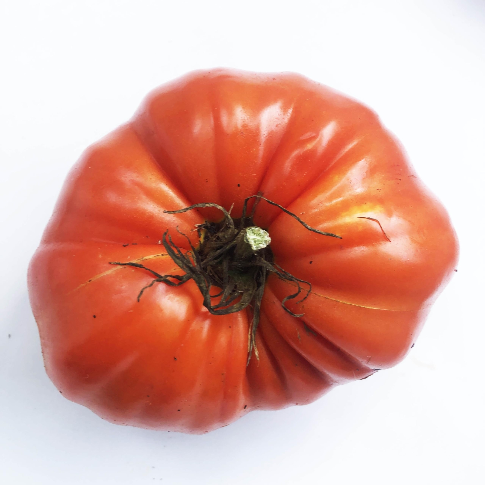 Large Red Heirloom Mix – Beefsteak Type – Tomato Seeds (Solanum lycopersicum)