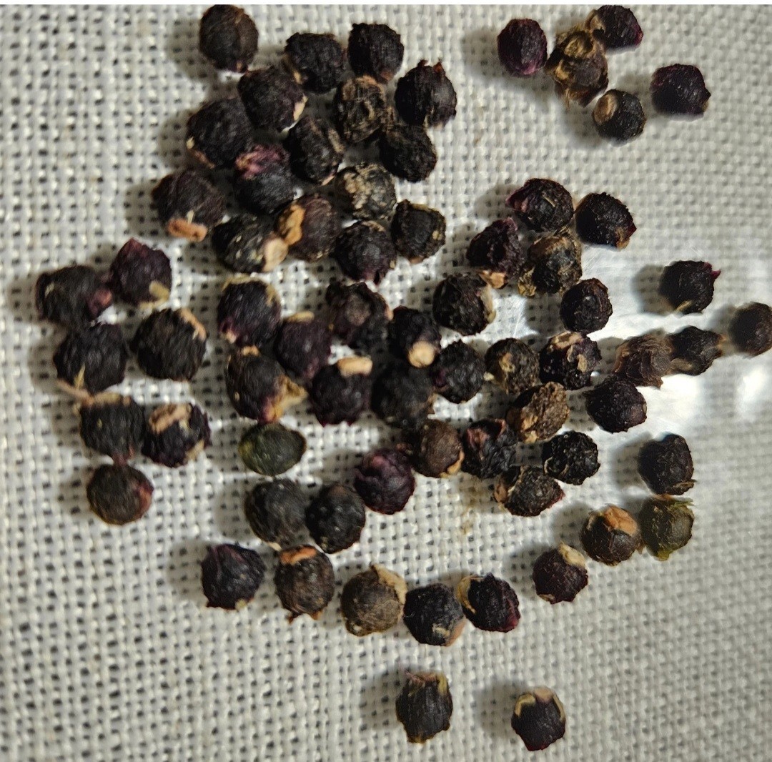 6 type of Seeds. Butternut squash, okra, Malabar Spinach,Kabocha, seminole gourd