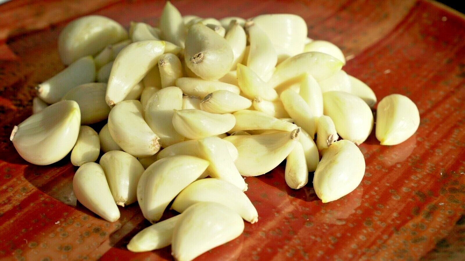 Fresh Organic Heirloom GARLIC Bulbs Chesnok Red Plant or Eat 3 bulbs – 10 lbs