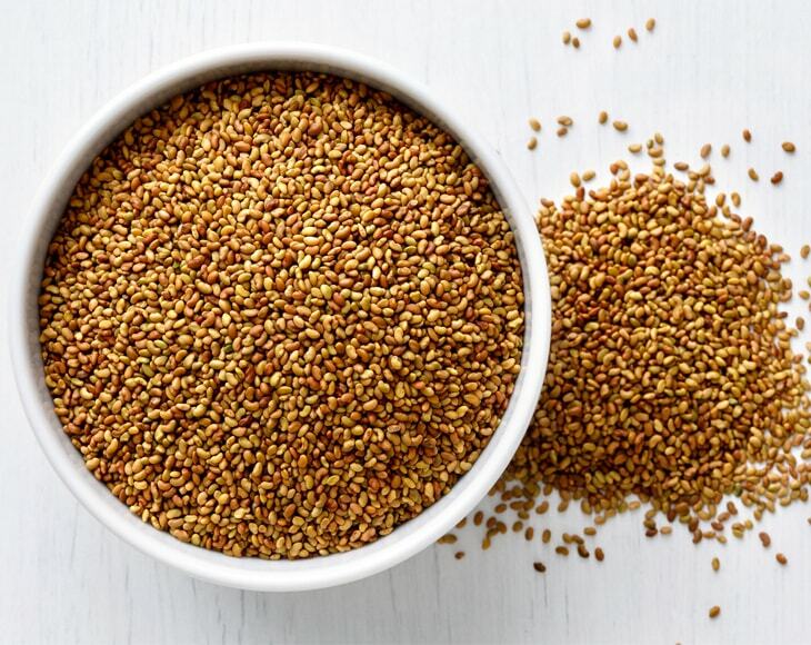 Organic Alfalfa Sprouting Seed USA Product 6000 seeds Heart Healthy Food !!