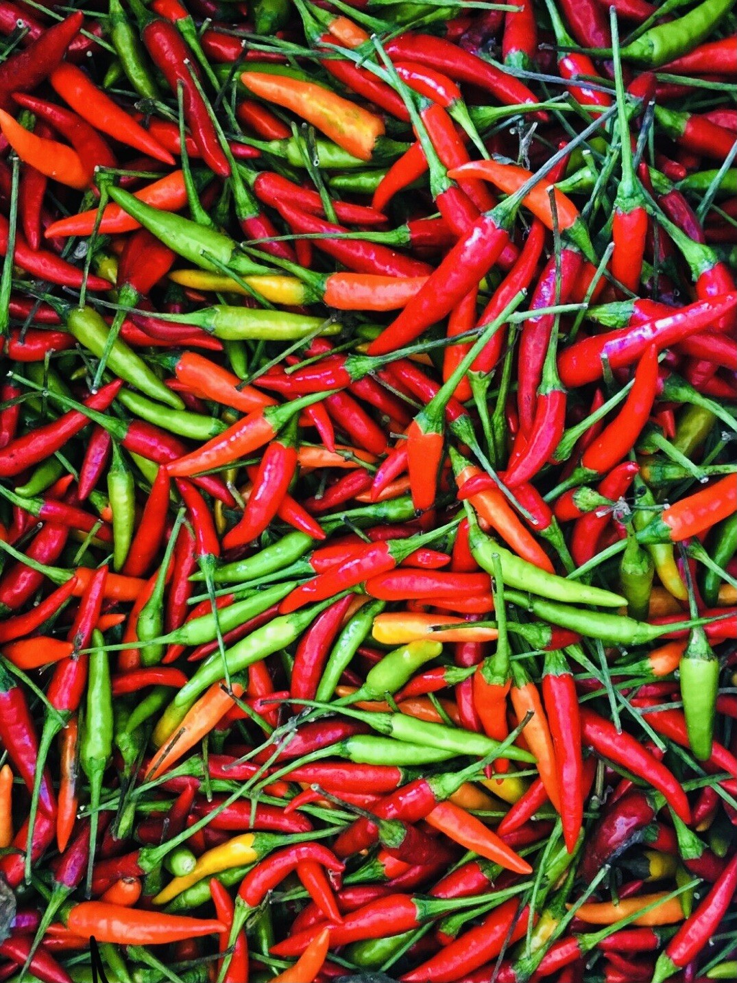 VARIETY PACK THAI CHILI PEQUIN BELL PEPPER FREE SHIPPING