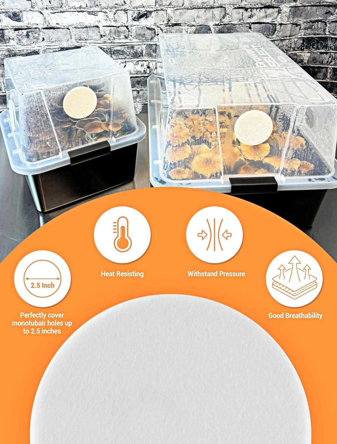 2.5″ Monotub Adhesive Filter Pads – 24 Pack for Fresh Mushroom Growth