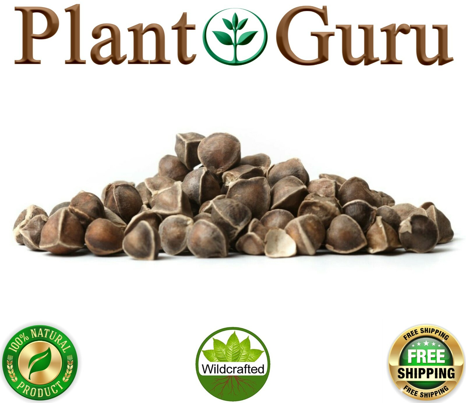 Moringa Oleifera Seeds 1 oz. Each WINGLESS & SHELLED Fresh Semillas De Moringa