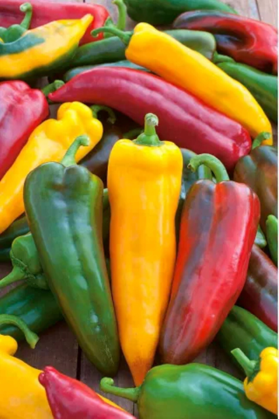 CORNO DI TORO MIX SWEET PEPPER 50+ SEEDS NON-GMO–BUY 4 ITEMS FREE SHIPPING