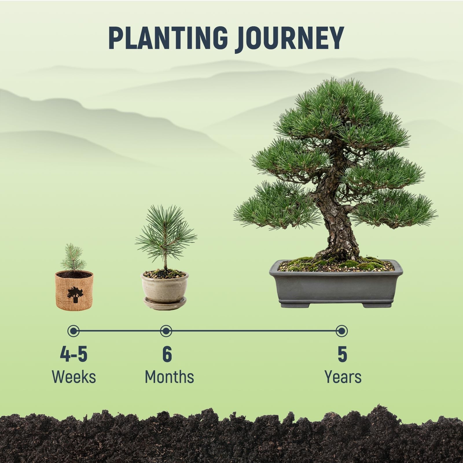 Complete Indoor Bonsai Tree Kit – 5 Unique Seeds, Tools & DIY Gardening Gift