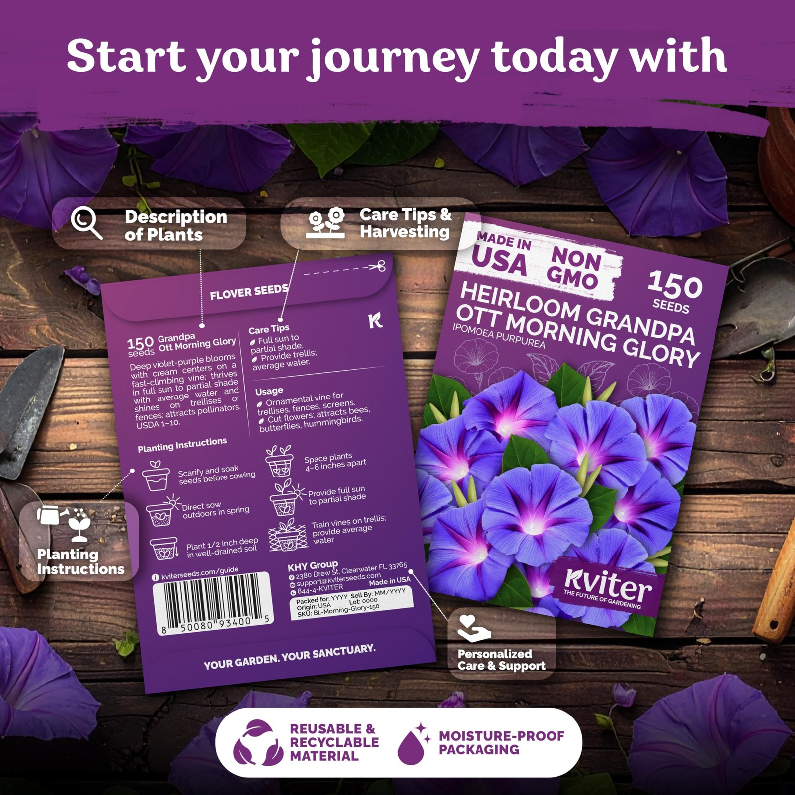 KVITER 150 Grandpa Ott Morning Glory Seeds (Ipomoea purpurea)