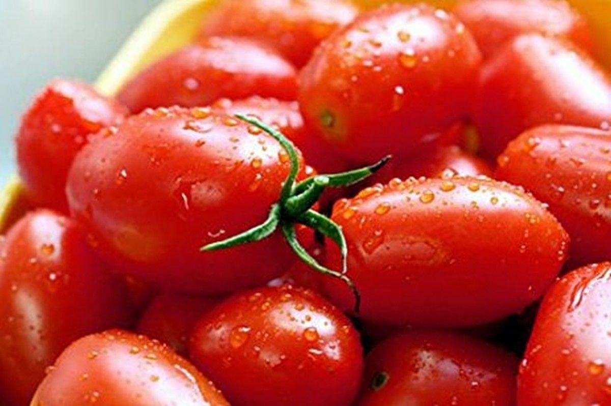 Crovarese Italian Grape Tomato Seeds 100 Ct Vegetable HEIRLOOM USA FREE SHIPPING