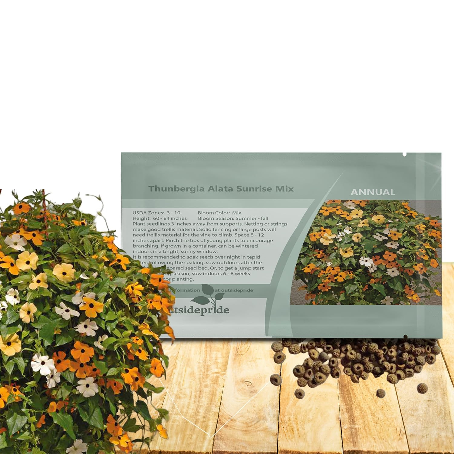Sunrise Mix Thunbergia Black Eyed Susan Seeds – 100 Pcs Annual, Climbing Vine…