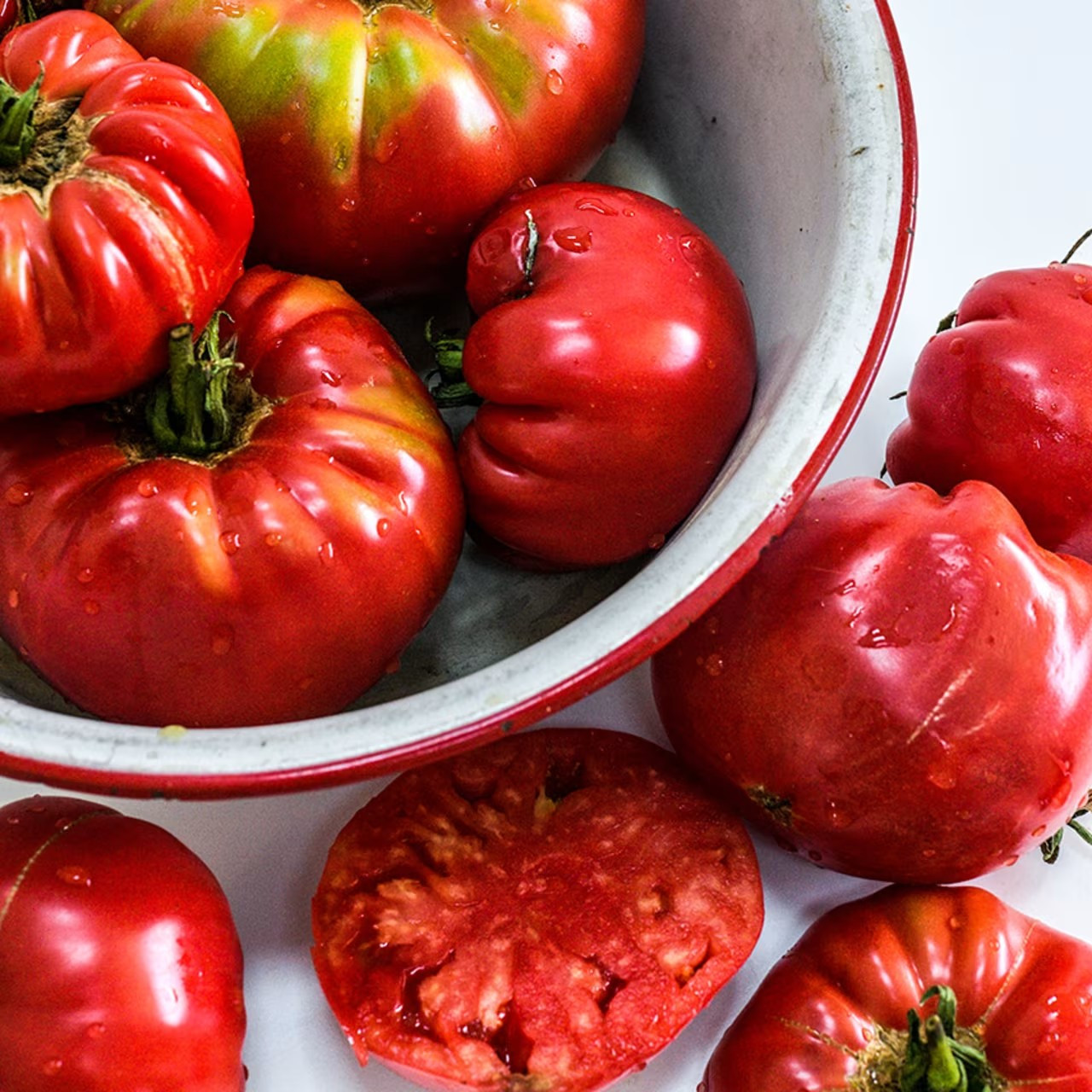 120+ Abe Lincoln Tomato Seeds ——————- Heirloom ———— RARE