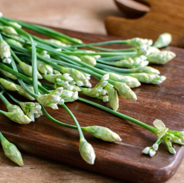 CHIVES GARLIC Herb Garden Culinary Perennial Sauces & Dips Non-GMO 200 Seeds