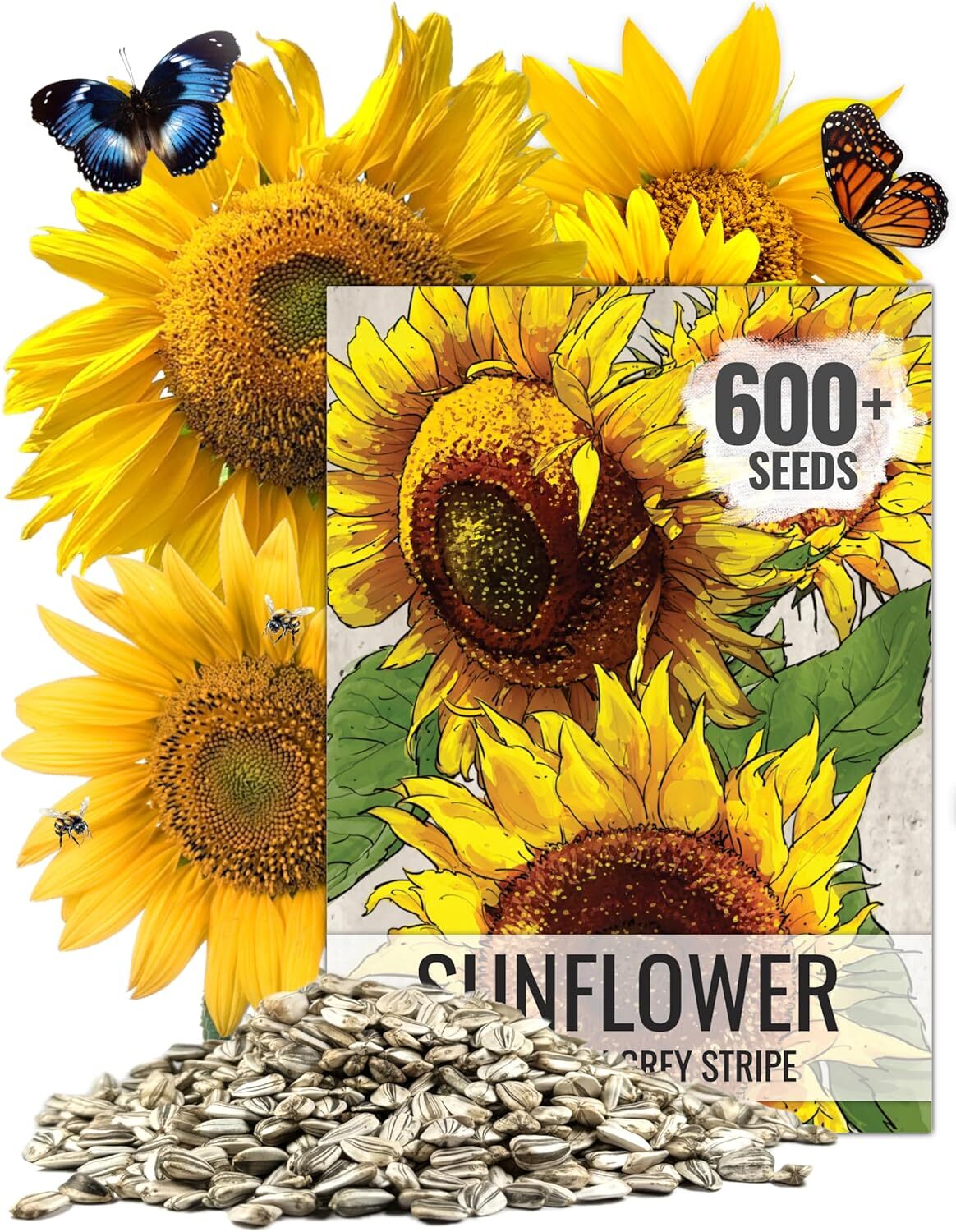 , Bulk Package of 600+ Large Mammoth Grey Stripe Sunflower Seeds for Planting…