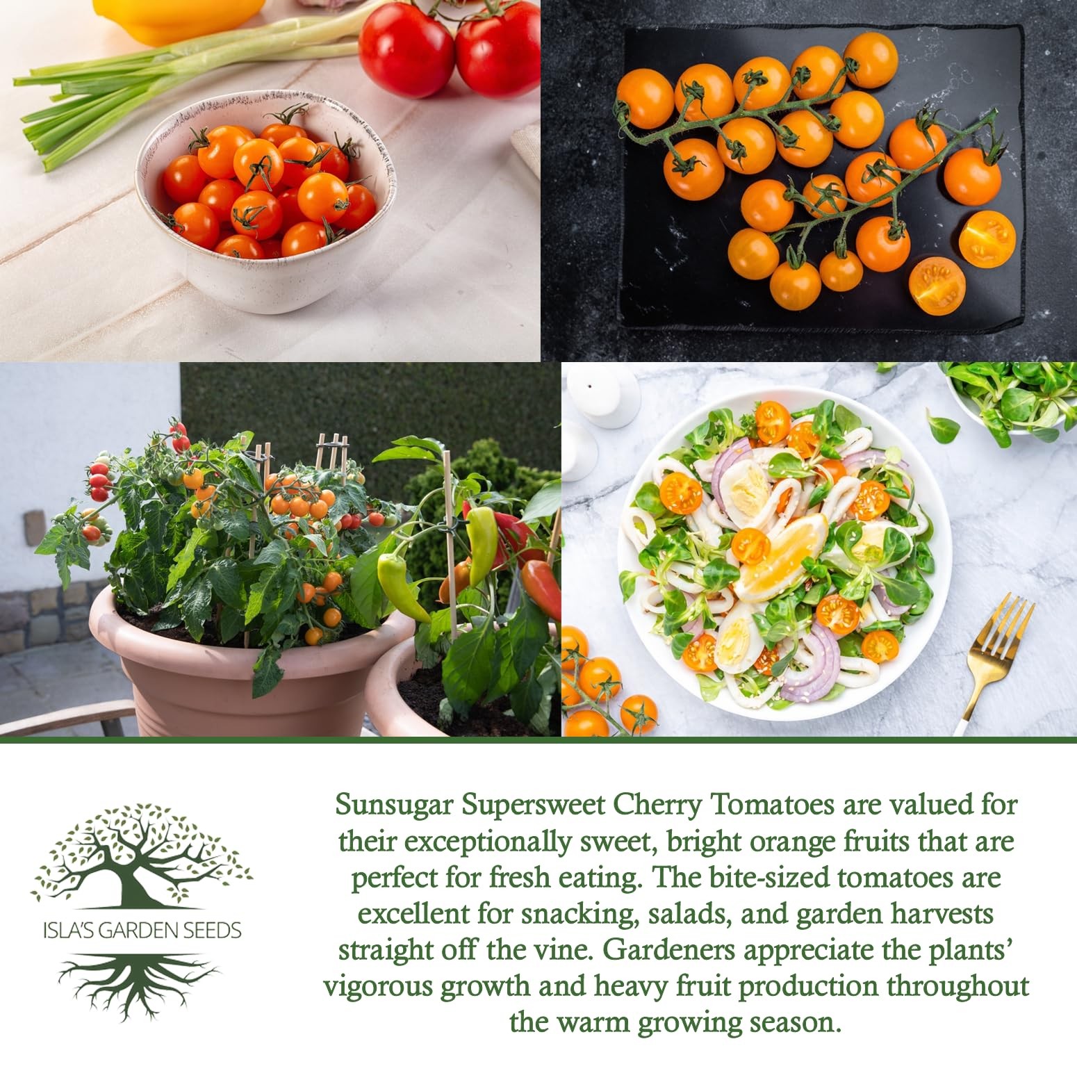 Sunsugar Supersweet Cherry Tomato Seeds Lycopersicon lycopersicum – 20+ Heirl…