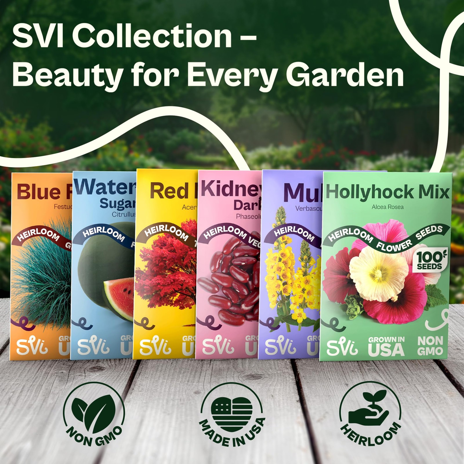 SVI 1200 Rainbow Coleus Seeds (Plectranthus Scutellarioides) – Painted Multi