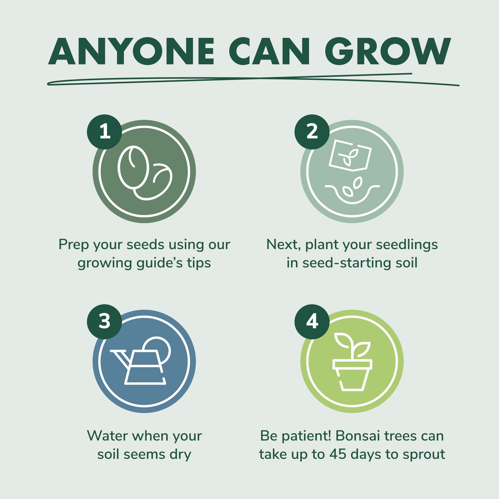 Bonsai Tree Seed Starter Kit – Mini Bonsai Plant Growing Kit, 4 Types of Seed…