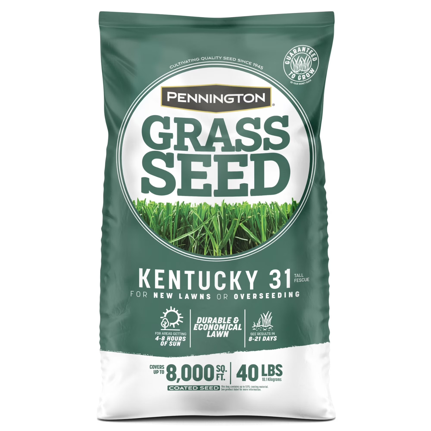 Pennington Kentucky 31 Tall Fescue Grass Seeds for Lawn, Sun to Partial Shade