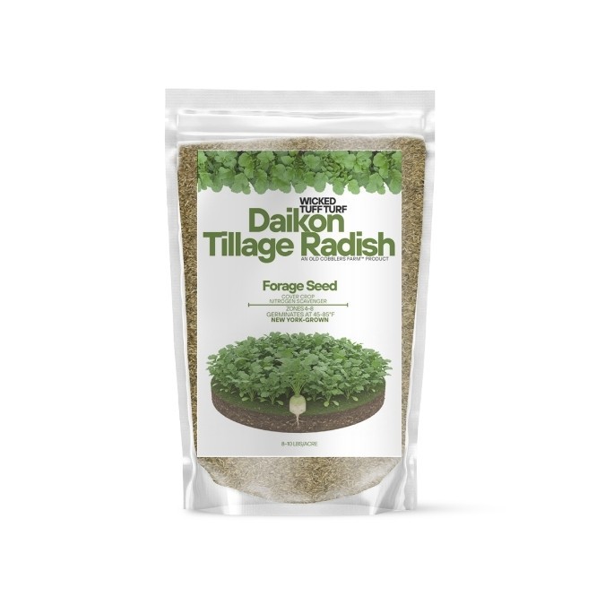 Old Cobblers Farm™ Wicked Tuff Turf Daikon Tillage Radish Seed – Soil Builder