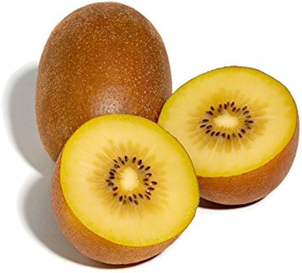 Sungold Golden Kiwi (50 seeds) / RARE / EXOTIC / DELICIOUS / Florida Grown