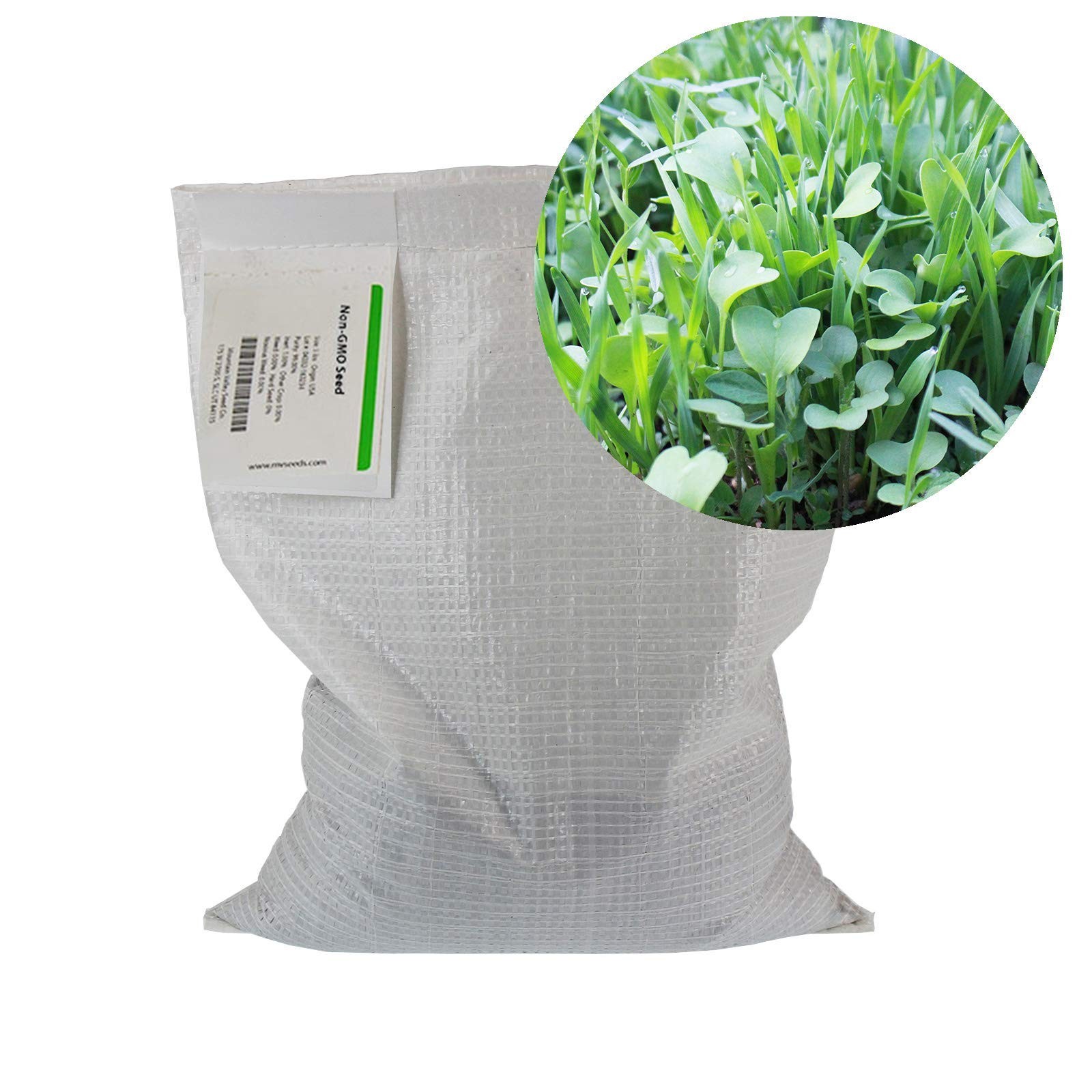 No-Till Garden Farm and Garden Cover Crop Mix Seeds – 5 Lbs – Blend of Garden…