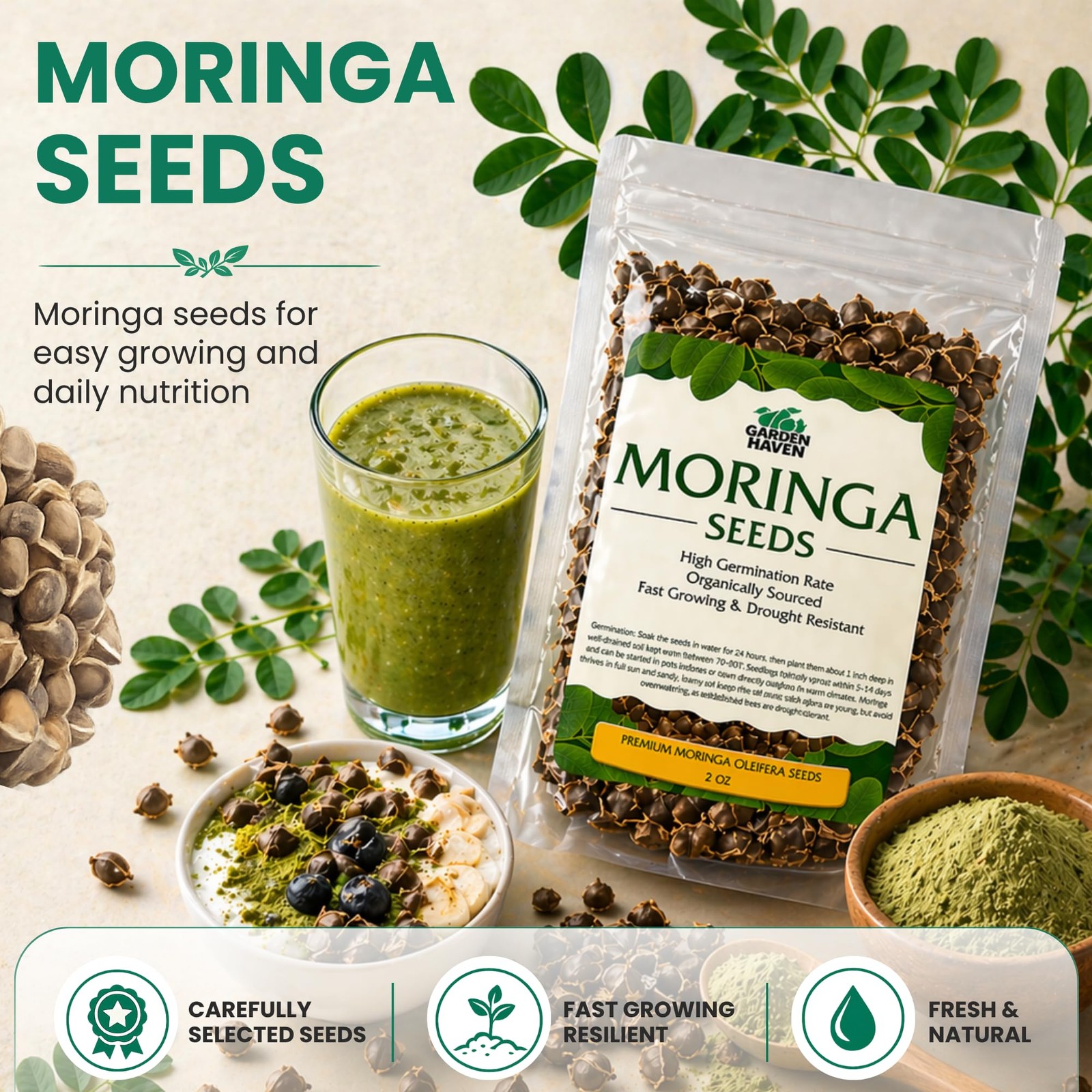Moringa Seeds 2 oz (200+ Seeds) | PKM1 Premium Quality | Edible Green