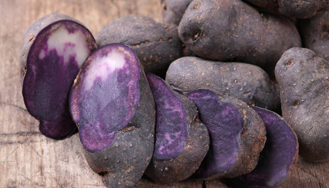 Simply Seed Blue Potato Seed 3 LB Ready To Grow Farm Fresh Non GMO